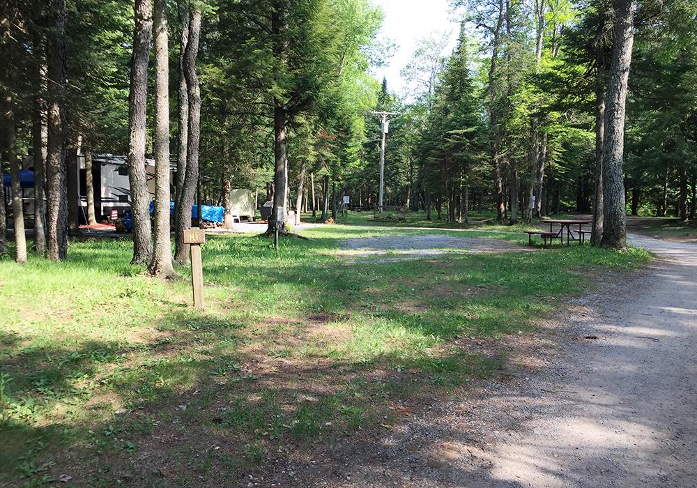 Site Image